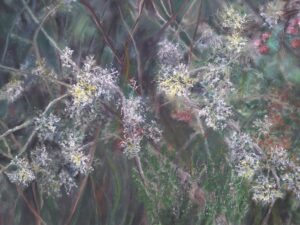 Dänischer Waldboden