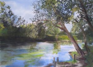 Taubergießen an der Saukopfbrücke