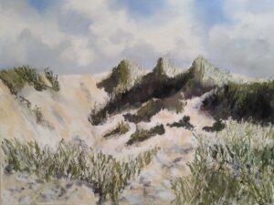 Dünen in Nordjütland