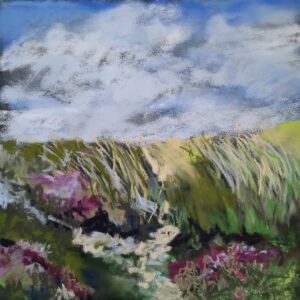 Dünenstudie in Rødhus