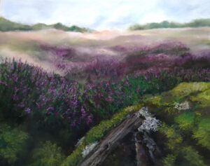 Heidelandschaft in Nordjütland