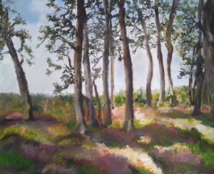 Pilze suchen im Heidewald