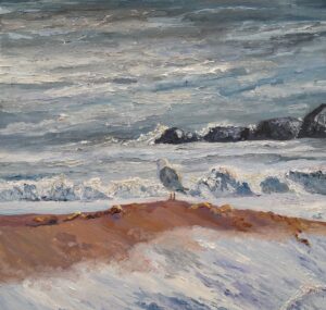 Abendstimmung mit Möwe