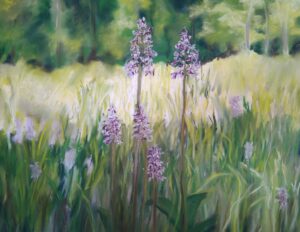 Wilde Orchideen im Kaiserstuhl